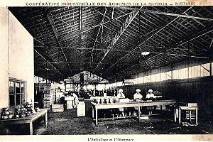 Boufarik - Cooperative Agrumes Mitidja